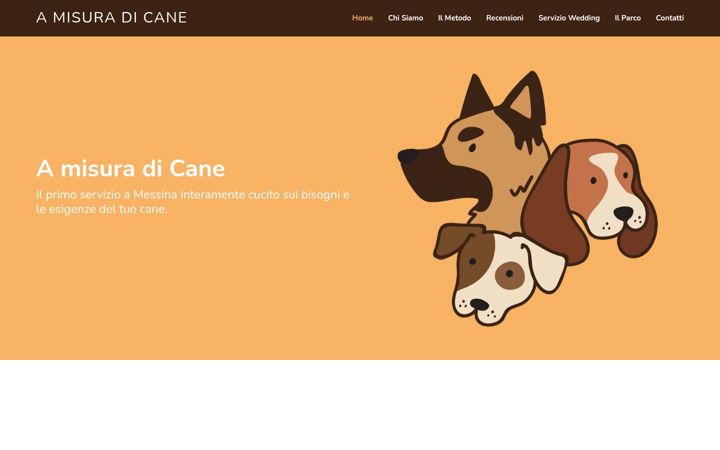 Screenshot of amisuradicane.com