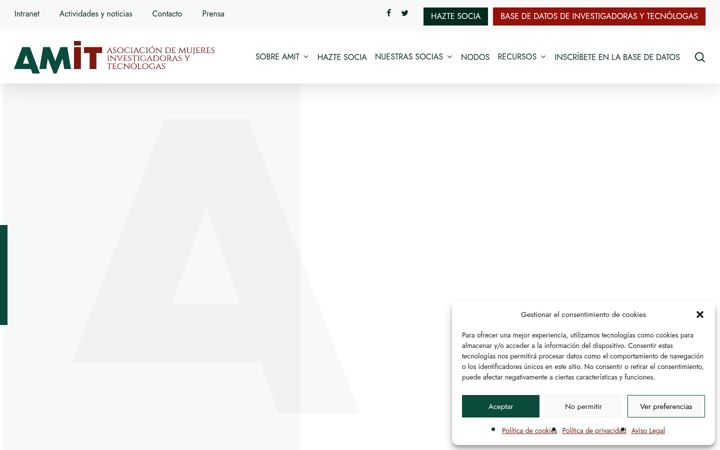 Screenshot of amit-es.org