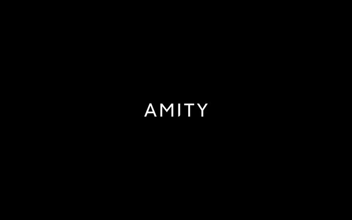 Screenshot of amity.io