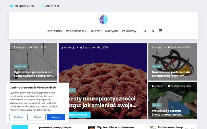 Snímek obrazovky amitycja.com.pl
