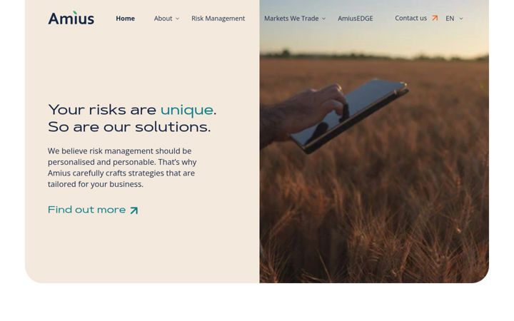 Screenshot of amius.com