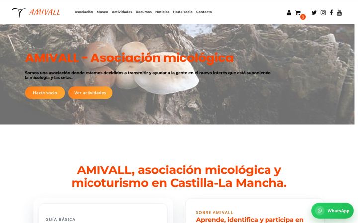 Screenshot of amivall.com