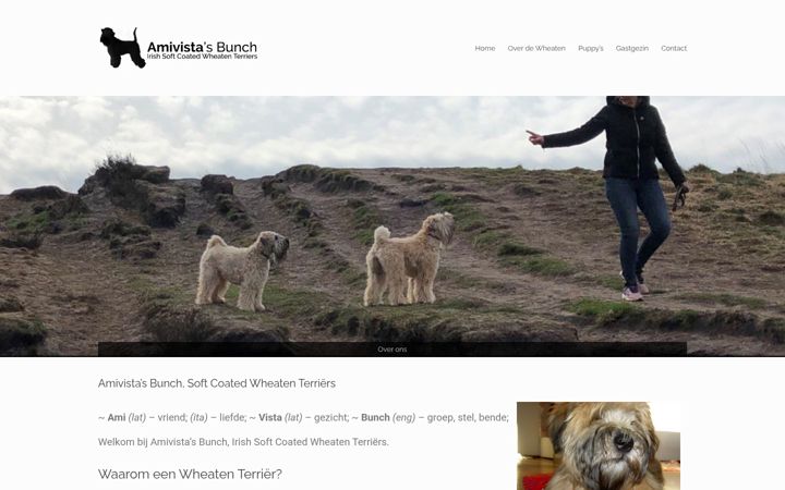 Screenshot di amivistasbunch.nl