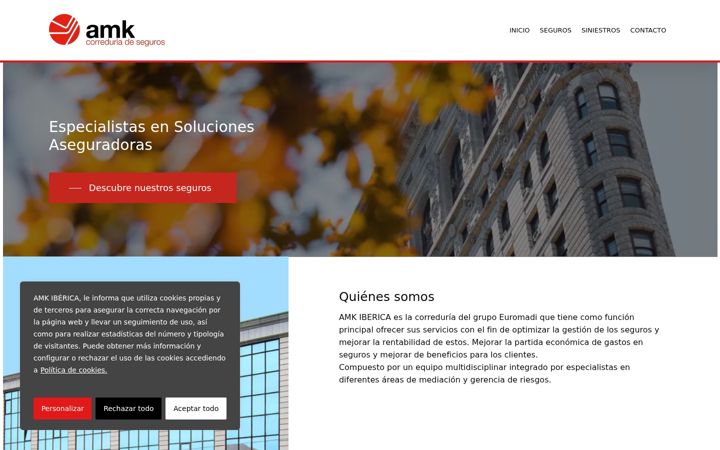 Screenshot of amkiberica.com
