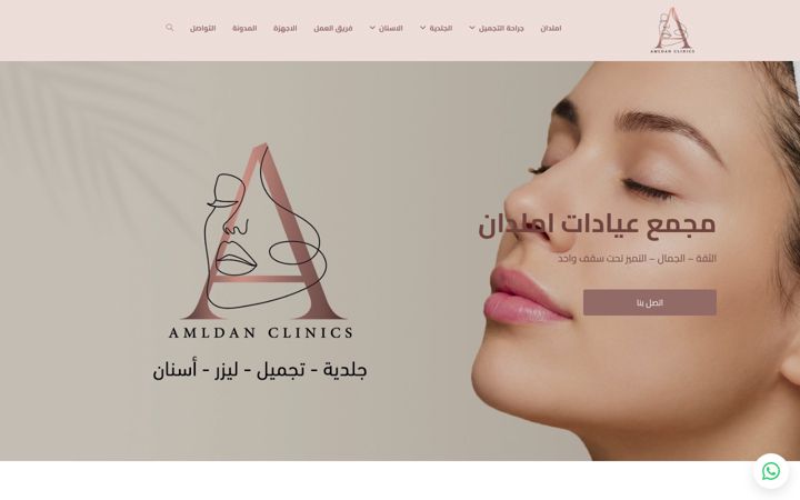 Screenshot of amldan.com
