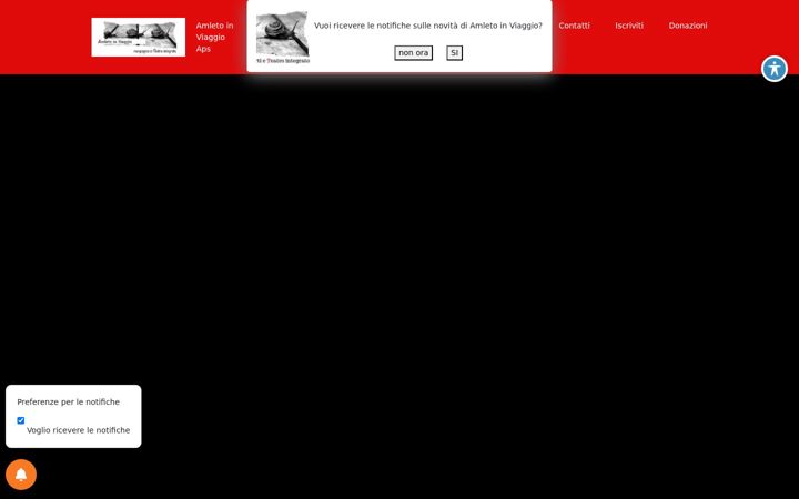 Screenshot of amletoinviaggio.it