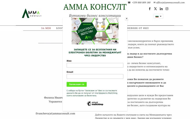 Screenshot of ammaconsult.com