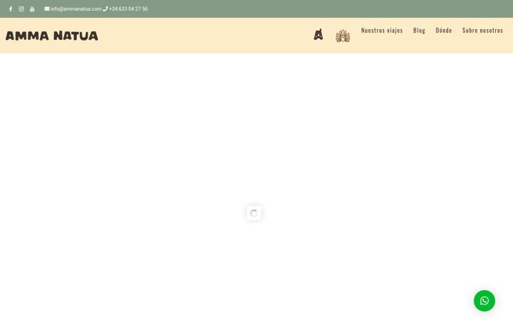 Screenshot of ammanatua.com