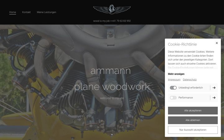 Screenshot of ammann-plane-woodwork.com