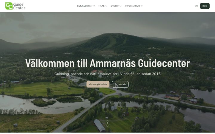 Screenshot of ammarnasguide.com