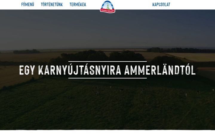 Screenshot of ammerlander.hu