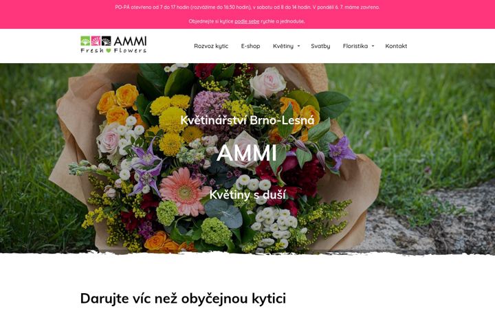 Capture d'écran de ammi.cz