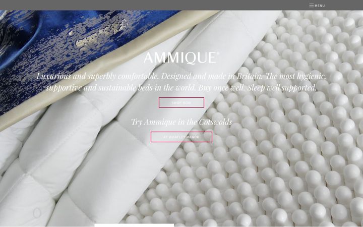 Screenshot of ammique.com