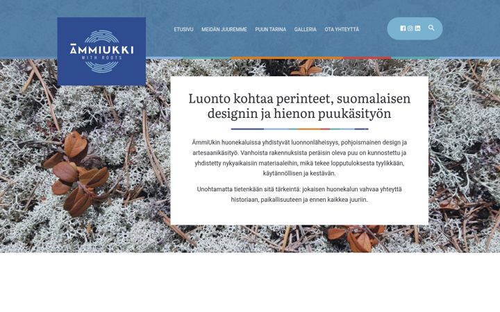 Screenshot of ammiukki.com