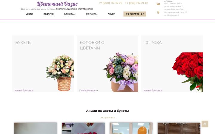 Screenshot of ammoria.ru