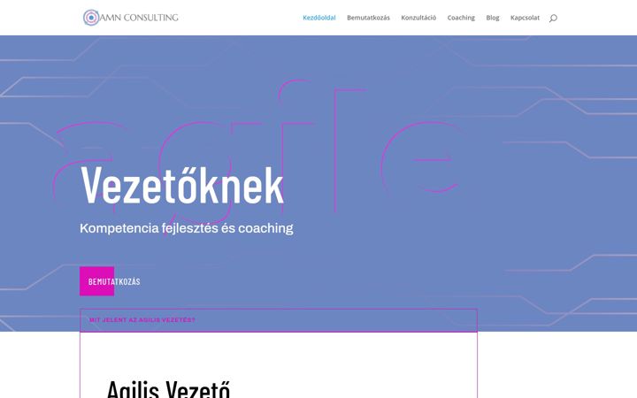 Captura de ecrã de amnconsulting.hu