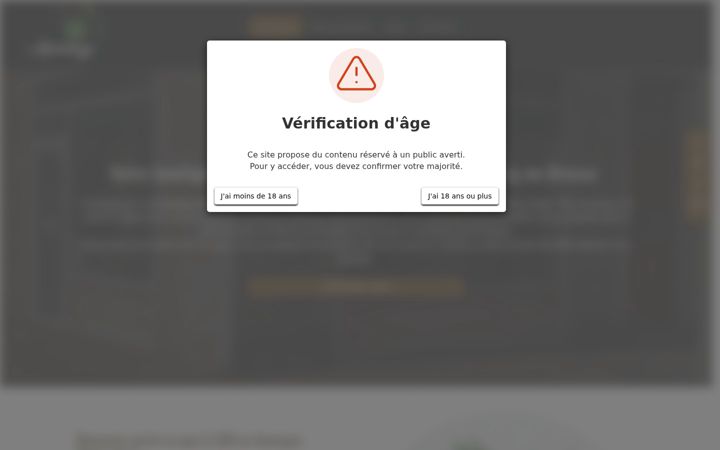 Screenshot of amnesya.fr