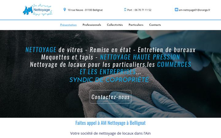 Screenshot of amnettoyage.fr