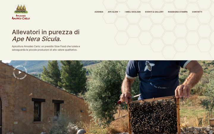 Screenshot of amodeocarlo.com