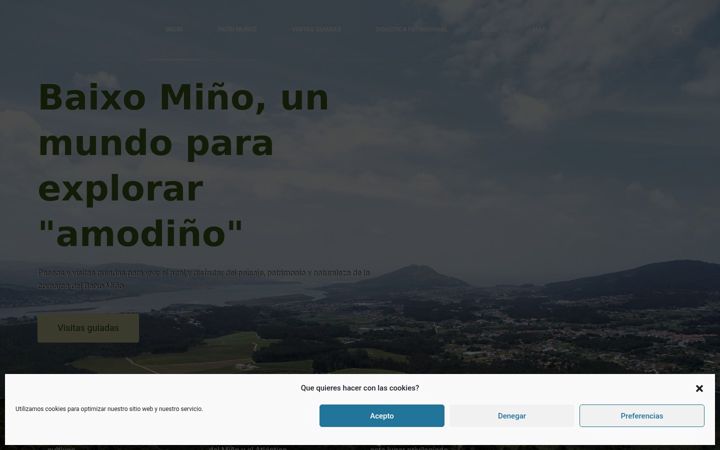 Screenshot of amodoturismo.com