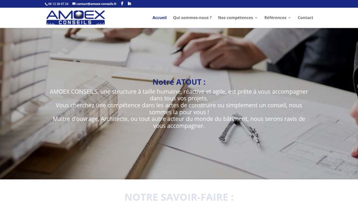 Snímek obrazovky amoex-conseils.fr