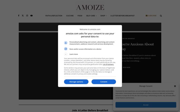 Screenshot of amoize.com