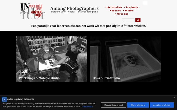 Zrzut ekranu amongphotographers.nl