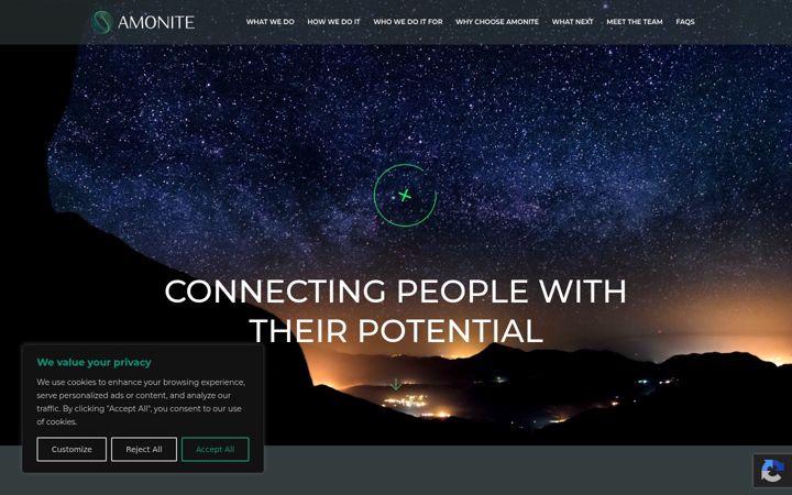 Screenshot of amonite.co.uk