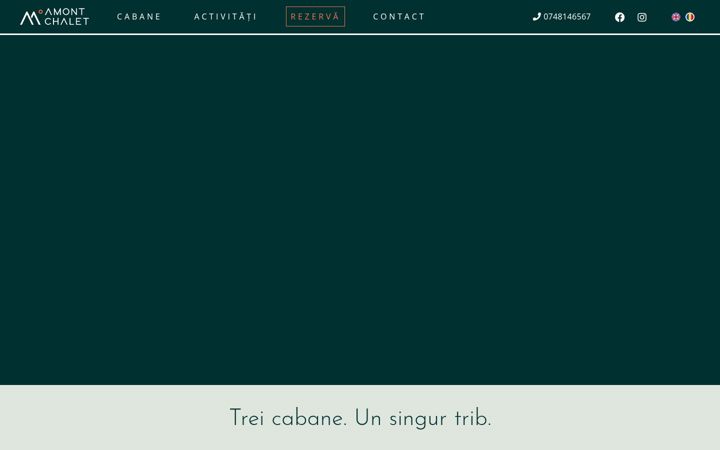 Screenshot ta' amontchalet.ro