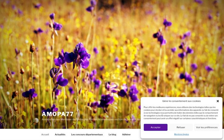 Screenshot of amopa77.org