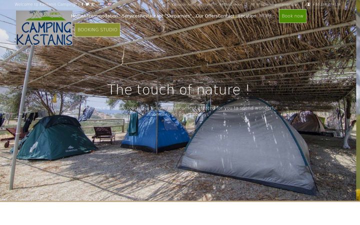 Screenshot of amorgoscamping.gr