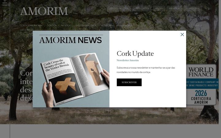 Screenshot of amorimcorkventures.com