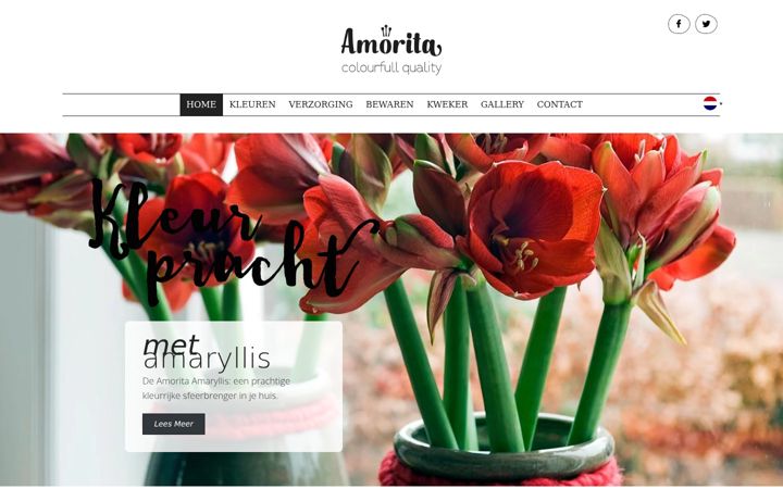 Zrzut ekranu amorita.nl