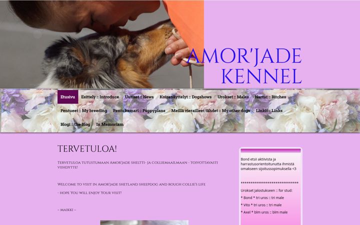 Screenshot of amorjade.net