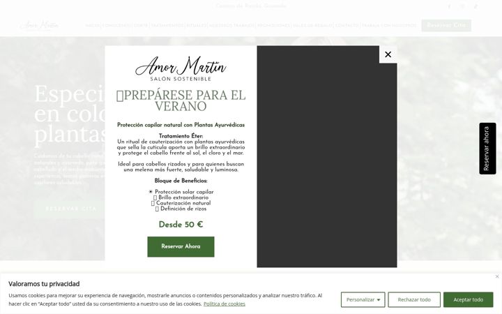 Screenshot of amormartinpeluqueria.com