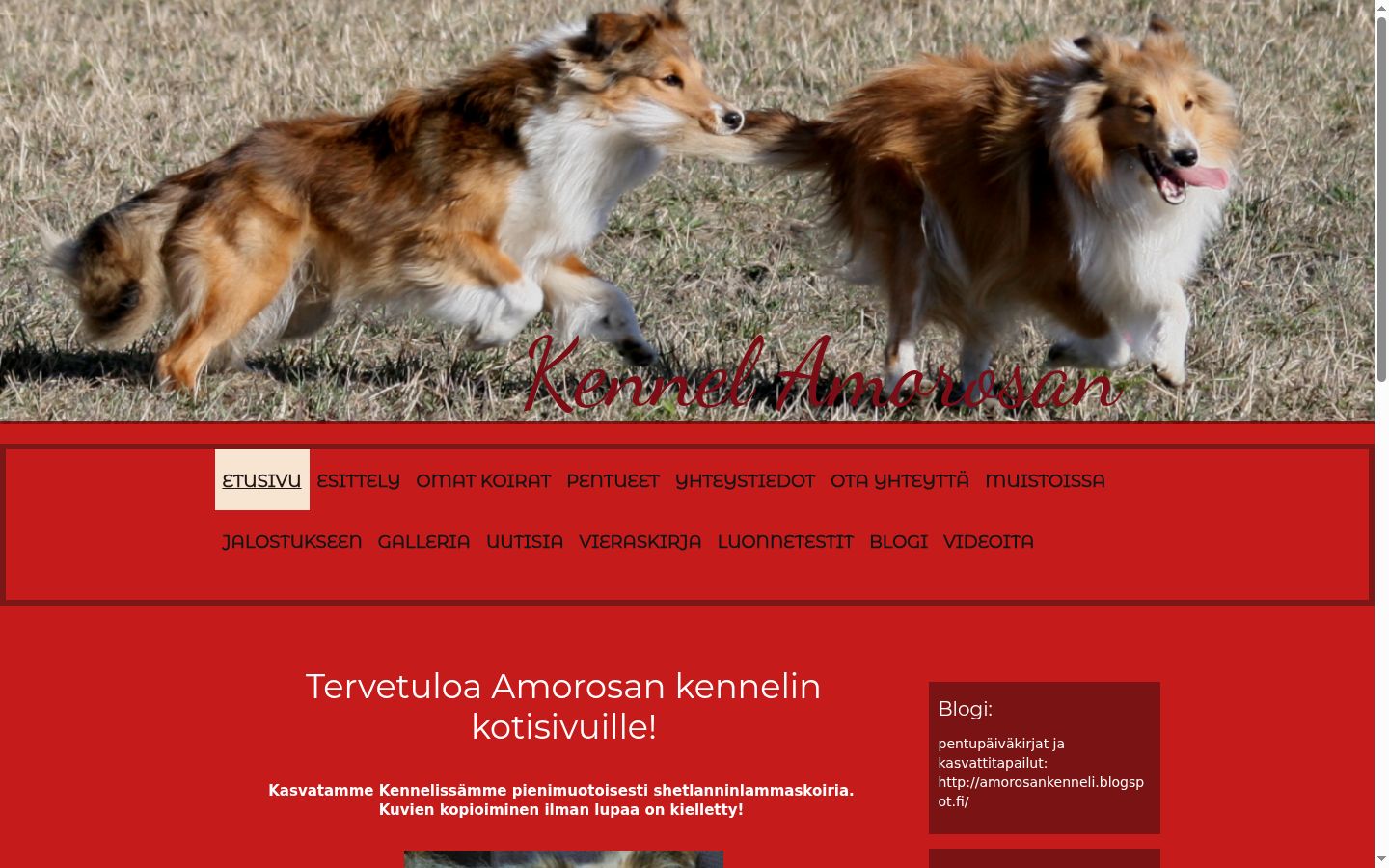Captura de pantalla del banner de consentimiento mostrado antes de cualquier interacción