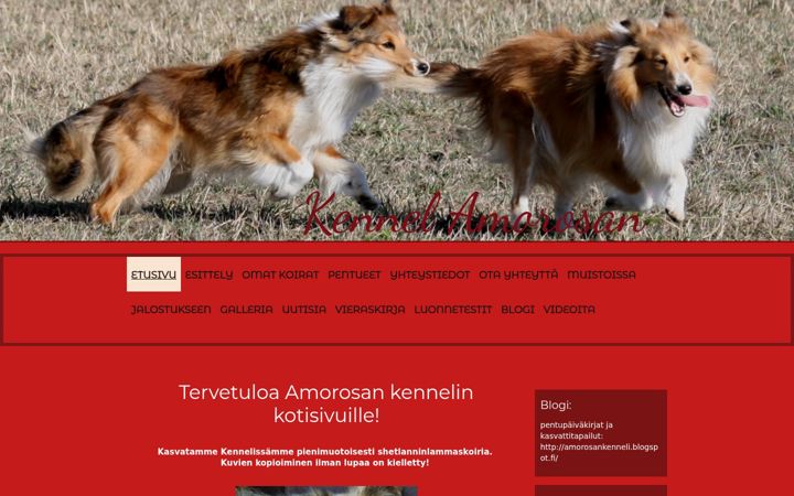 Screenshot of amorosan.com