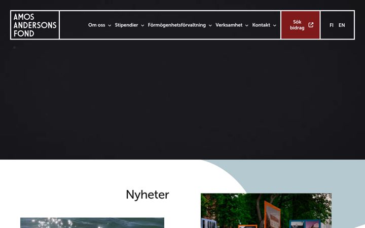 Screenshot of amosanderson.fi