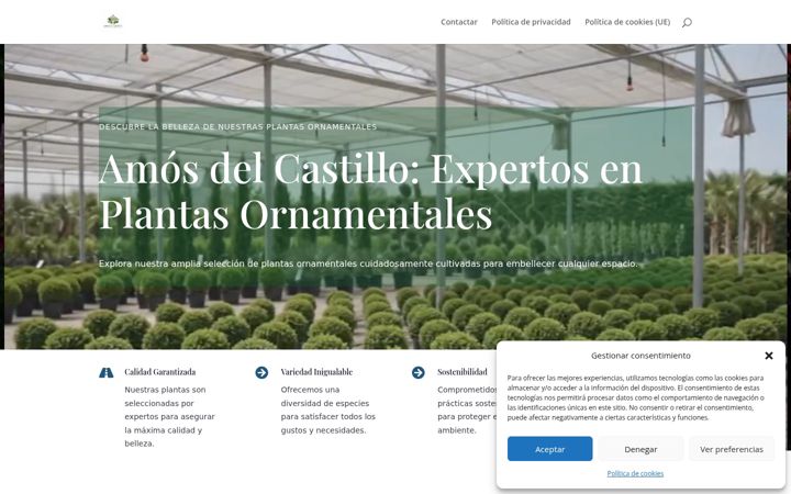 Zrzut ekranu amosdelcastillo.es