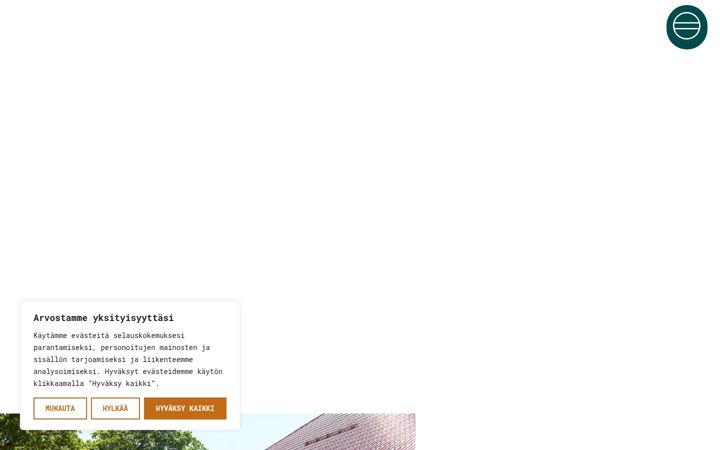 Screenshot of amoskrog.fi