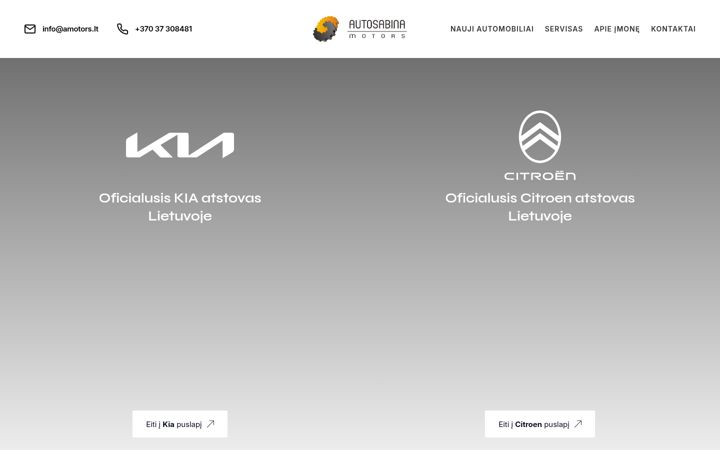 Screenshot stránky amotors.lt