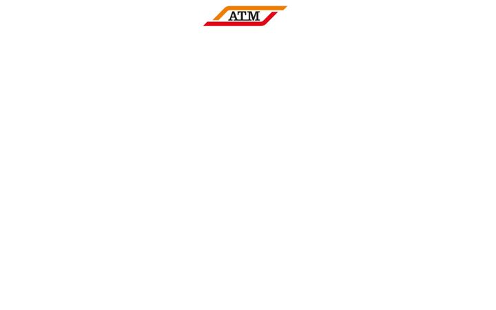 Screenshot of amotroppomilano.it