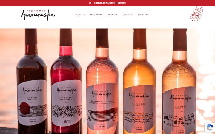 Screenshot of amouraska.com