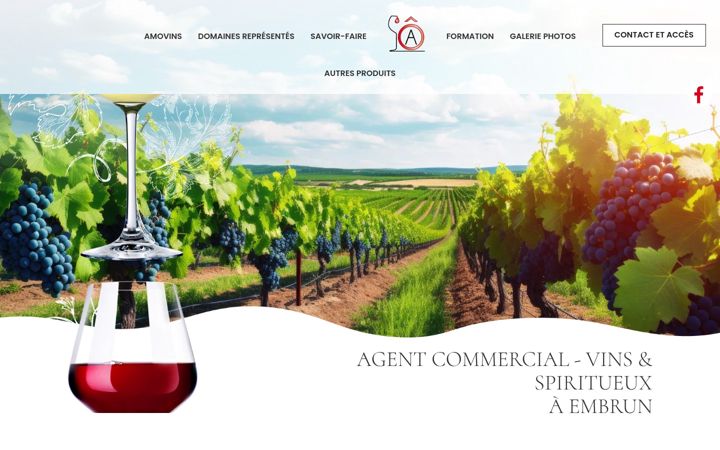 Screenshot of amovins-05.fr