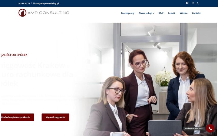 Snímek obrazovky ampconsulting.pl