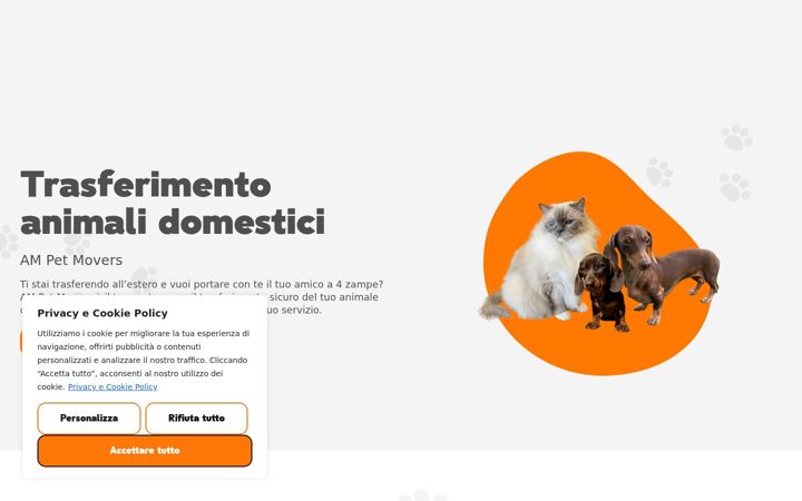 Kuvakaappaus sivustosta ampetmovers.it