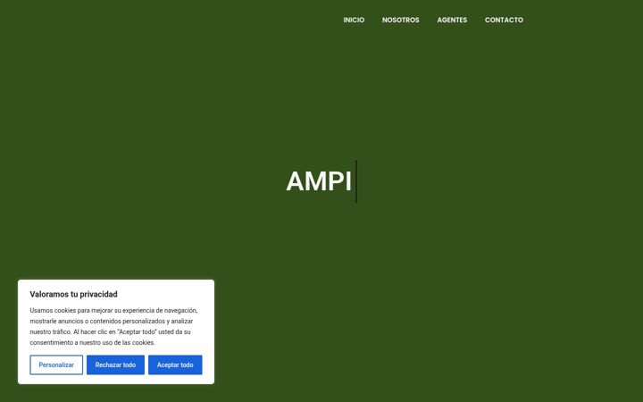 Screenshot of ampicozumel.com