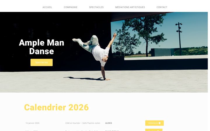 Screenshot of amplemandanse.com