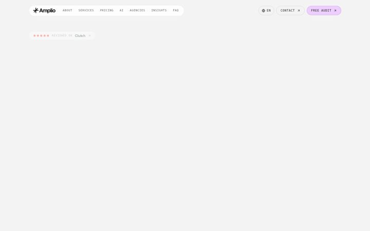 Screenshot of ampliodata.io