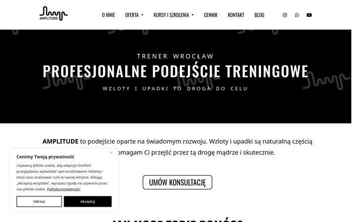 Screenshot of amplitudee.pl